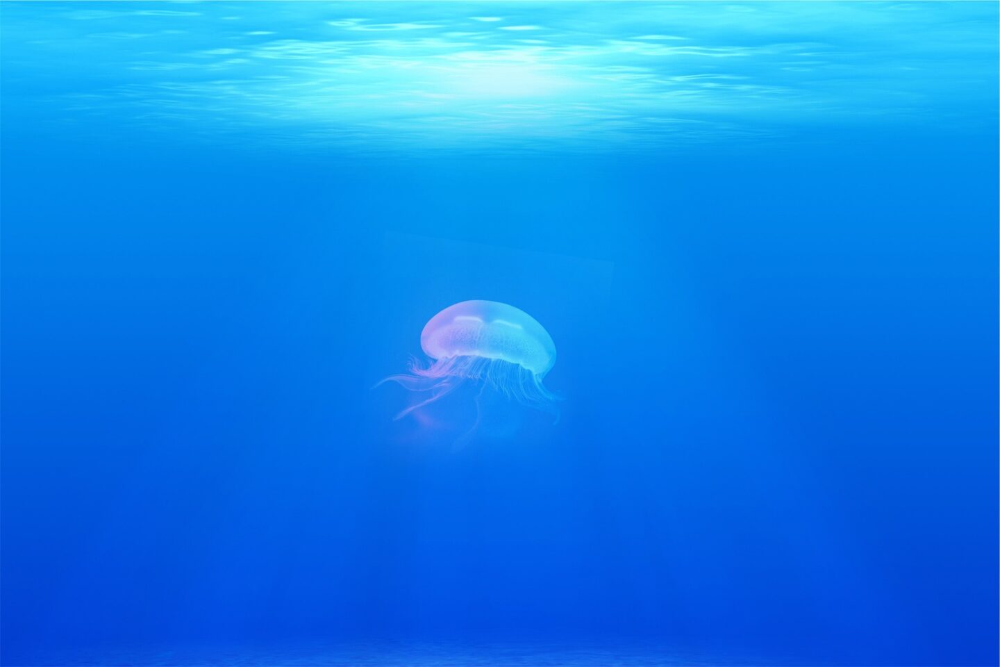 Punkt Nemo jako najbardziej odizolowane miejsce na oceanie i symbol samotności na mapie świata